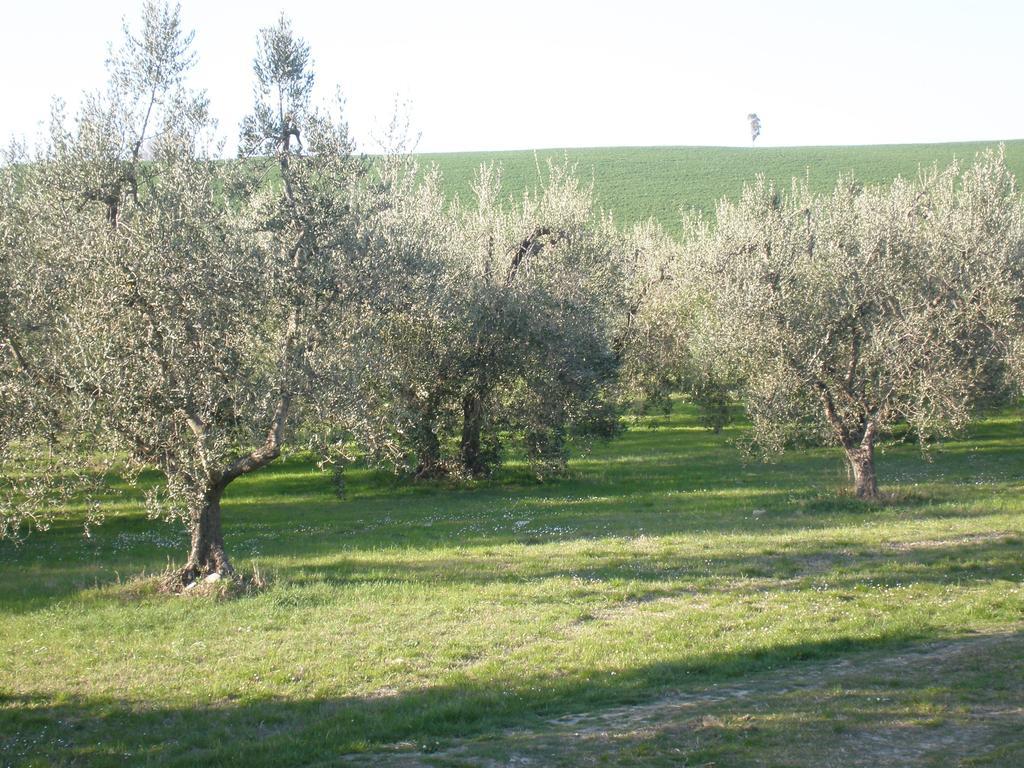 Locanda La Gozzetta Santa Luce Esterno foto